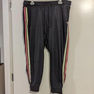 Torrid Rainbow Strip Joggers Sz 2